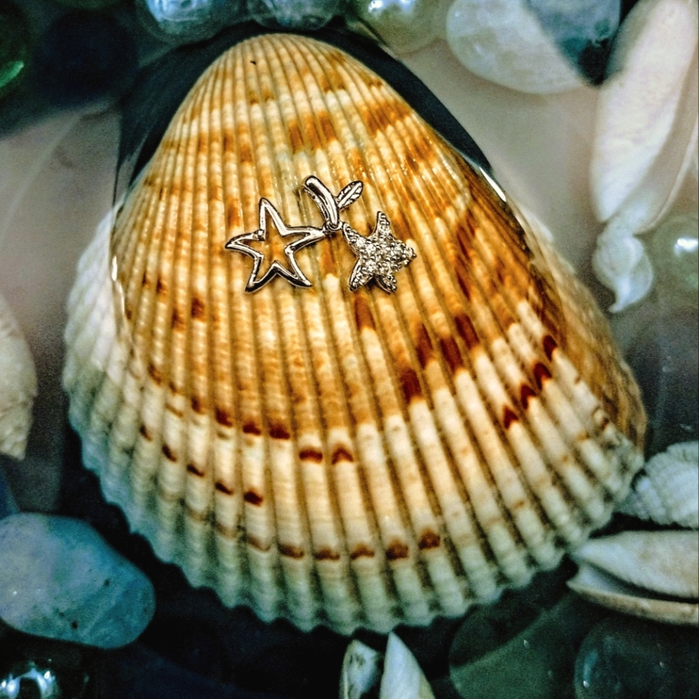925 Sterling Silver Cubic Zirconia Moveable Star fish Pendant